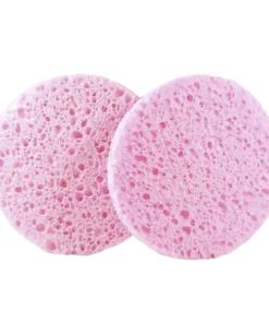 Reinigingssponsjes (2st)